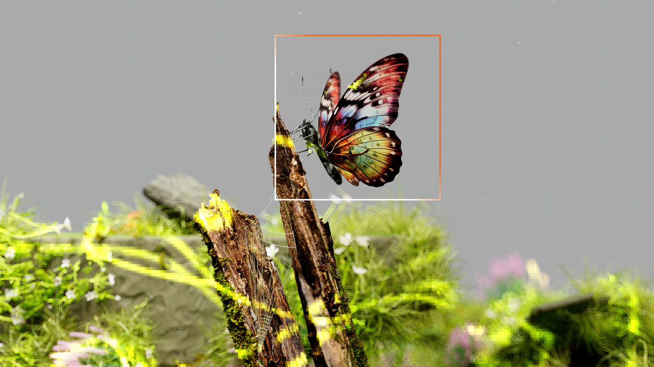 AI for Biodiversity